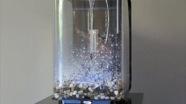 Setting up Biorb Flow 15L смотреть онлайн