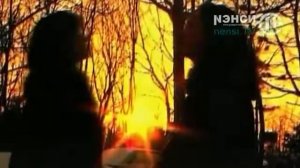 Ненси - Туман