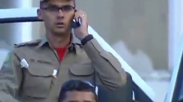 Пчёлы на бразильском стадионе. смотреть онлайн