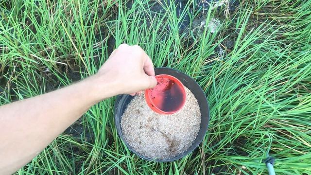 Ловля КАРАСЯ В ЖАРУ на ПОПЛАВОК. Карась в деревенском пруду. Карась на маховую удочку. Карась летом смотреть онлайн