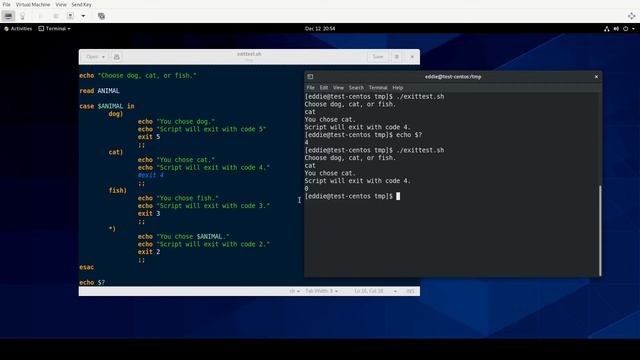 RHCSA v8 Practice Session: Processing shell command exit codes смотреть онлайн