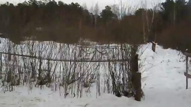 Сказочный дом своими руками !!! смотреть онлайн