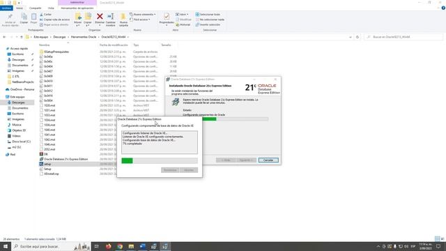 Instalación Oracle Database XE y SQL Developer смотреть онлайн