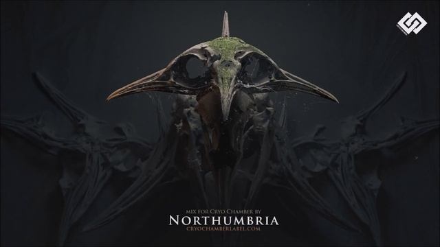 Dark Ambient Witchcraft Music(1080P_HD)