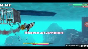 обзор акул в игре hungry shark world - тупорылая акула