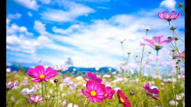 А.В.Клюев - Смирение - Вспоминайте Он Есть - Благодарение ✨ смотреть онлайн