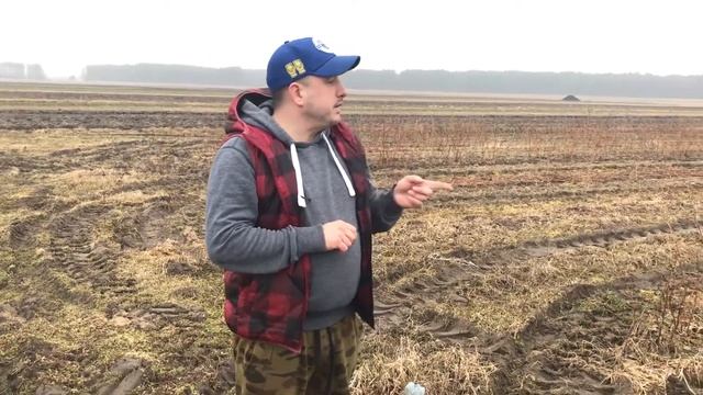 Обрезка и подкормка ремонтантной малины Весной смотреть онлайн