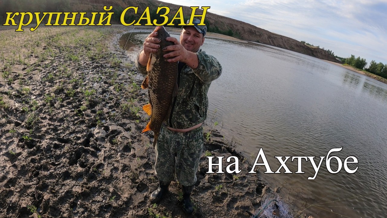 Ловля САЗАНА на Ахтубе.Много крупного КАРАСЯ на донку. смотреть онлайн