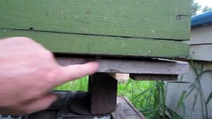 Бюджетные весы на пасеке для контрольного взвешивания улья