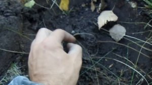 Коп в лесу, с Фишер ф 44.