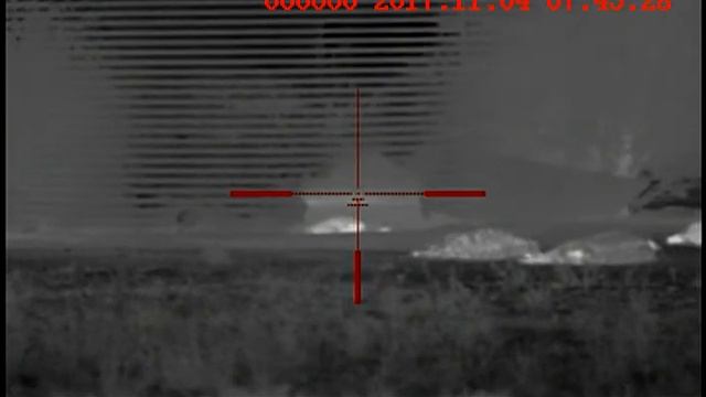 Pulsar Apex XD50A Thermal Hog Hunt смотреть онлайн
