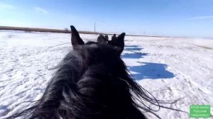 Табунное коневодство.| Встречаем Весну.