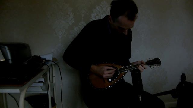 Ceccherini Mandolin Demo смотреть онлайн