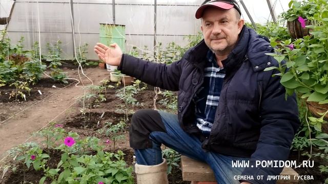 Золотая Середина Милого мне Земледелия! Не сходите с ума! Человек Любимая часть Матушки природы! смотреть онлайн