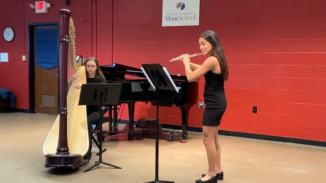 Mozart Concerto for Flute and Harp, I. Allegro смотреть онлайн