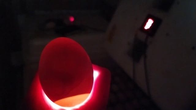 радость и горе моего хозяйства? 18+