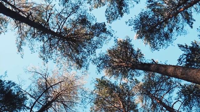 Медитация для успокоения нервов 🌀 Восстановление нервной системы Soft Radio смотреть онлайн