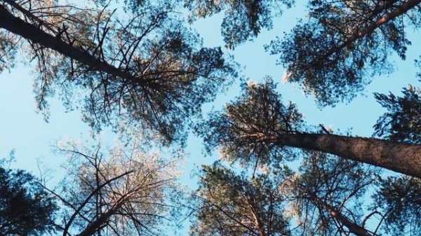 Медитация для успокоения нервов 🌀 Восстановление нервной системы Soft Radio