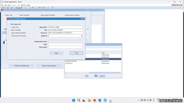 Oracle EBS R12 Segment Values | Oracle APPs Tutorial | Getting Started with Oracle EBS | EBS BISP смотреть онлайн