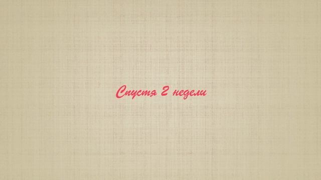Острый перчик на подоконнике И не только смотреть онлайн