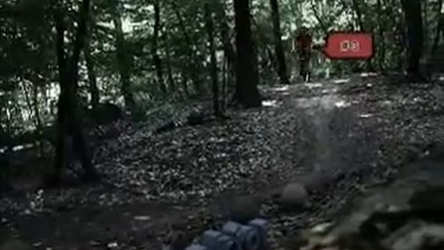 3ds max reactor test смотреть онлайн