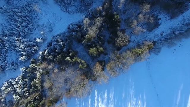 видеочтение А.С.Пушкин "Зимнее утро" Шлепатухина П 5 В учитель Матвеева О. П. смотреть онлайн