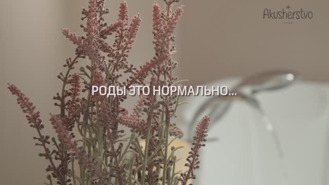 Щелковский перинатальный центр смотреть онлайн