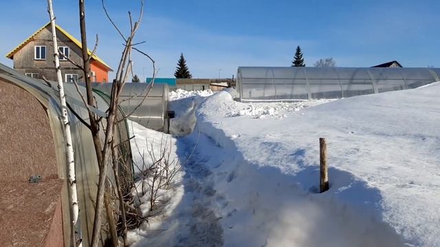 ВПЕРВЫЕ ЗАШЛА В ТЕПЛИЦУ ●●● ВКЛЮЧИЛА ГРЕЮЩИЙ КАБЕЛЬ●●● ХОЗЯЙСТВО смотреть онлайн