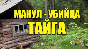 0859 - КОТ МАНУЛ ЗАГРЫЗ  ГРАБИТЕЛЕЙ _ ЕГЕРЬ В ЗАПОВЕДНИКЕ _ ЖИЗНЬ В ТАЙГЕ.mp4