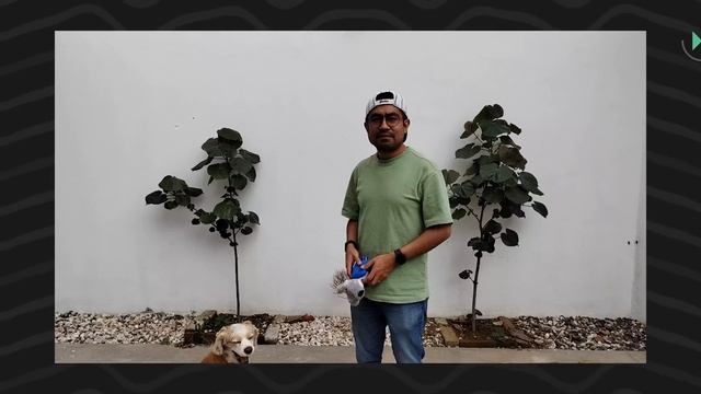 HONOR 70 | Review en español смотреть онлайн