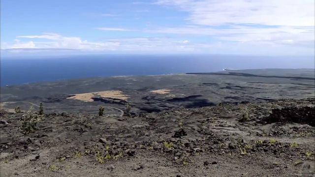 Venus' Greenhouse World