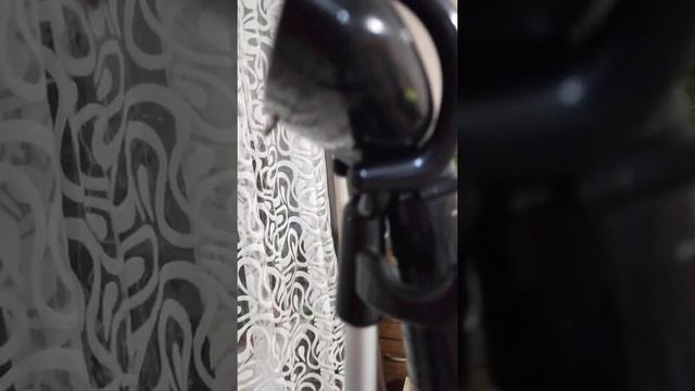 Келли отпариватель смотреть онлайн