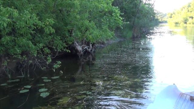 Сплав на ПЛОТАХ 2020. СЕЙМ. БУПЕЛ. ЧАСТЬ 3. 18+ смотреть онлайн