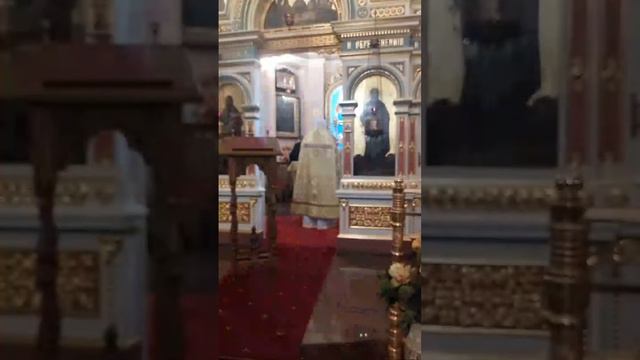 Божественная Литургия. Прямая трансляция . 23 декабря 2023 года смотреть онлайн