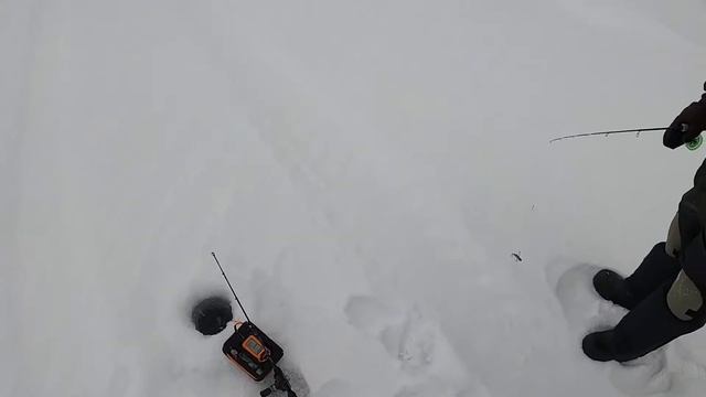 Зимняя рыбалка на судака.