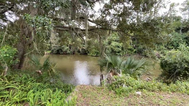 Прямо в океан! Кто его купит, тот выиграл лотерею! США, Флорида #недвижимостьамерики смотреть онлайн