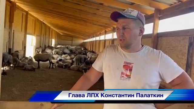 Начинающий фермер: 1 год