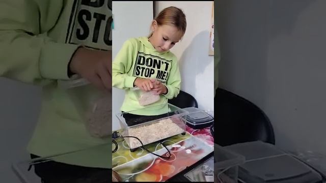 распаковка змеи смотреть онлайн