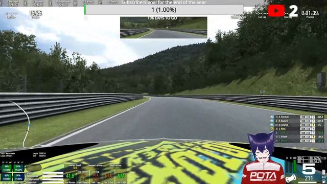 (Debut YT stream) Will I survive RaceRoom's 2.4h of the Nurburgring? смотреть онлайн