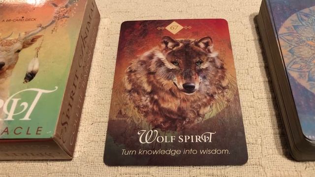 The Spirit Animal Oracle 67/68 Wolf Spirit guide book audio description смотреть онлайн
