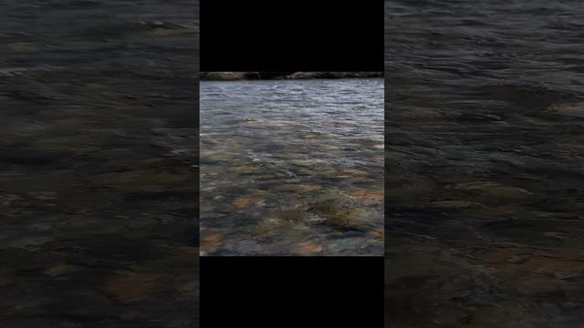 природа шинка отдых