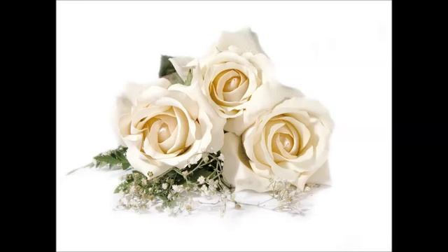 Леди О и группа Отражение       Букет из белых роз