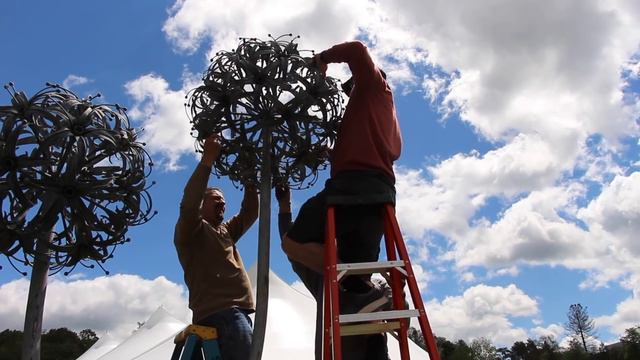 Double Allium Sculpture Installation At Cornell Botanic Gardens