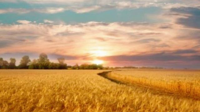 О России смотреть онлайн