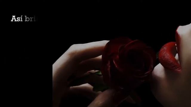 👉❤ Soneto a la rosa | José de Espronceda | Poemas de Amor | Poesía Romántica | Te amo смотреть онлайн