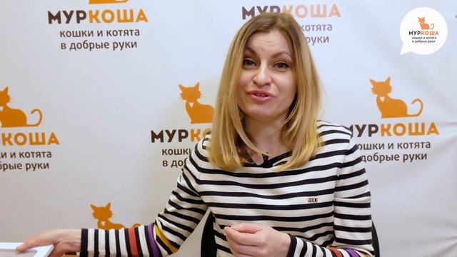 Для чего нужны сетки-антикошки? смотреть онлайн