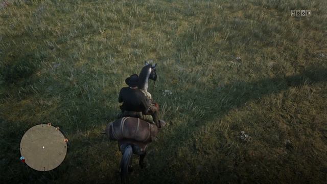 RDO Picking herbs on horseback смотреть онлайн
