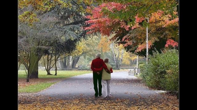 Старый парк смотреть онлайн