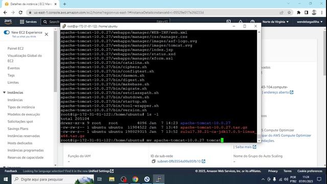 15-Instalando o servidor Apache Tomcat 10 смотреть онлайн