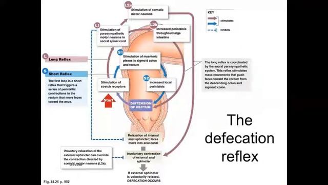 6. GIT lecture 6 part B смотреть онлайн